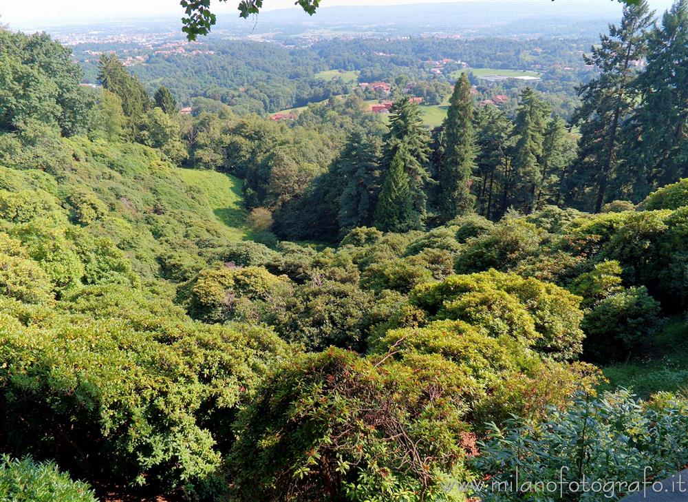 Burcina Park in Pollone (Biella. Italy) - Rhododendron valley